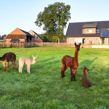 Appartement Alpakablick - Inklusive Gratis Alpaka Meet & Greet *