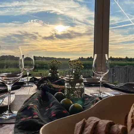 Alpakablick - Inklusive Gratis Alpaka Meet & Greet * Rhede (North Rhine-Westphalia)