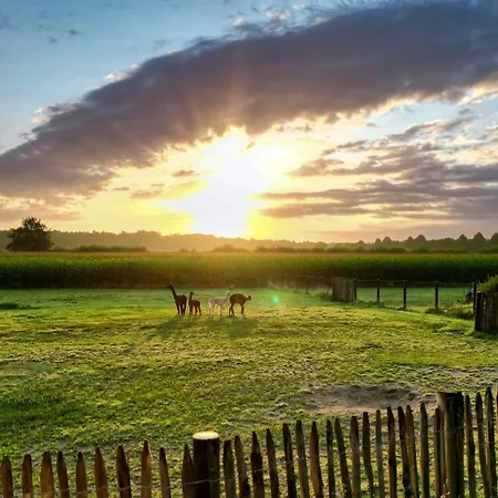 Alpakablick - Inklusive Gratis Alpaka Meet & Greet Apartmán *