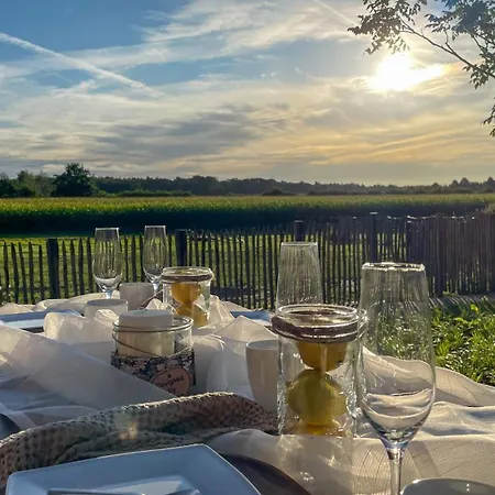 Apartmán Alpakablick - Inklusive Gratis Alpaka Meet & Greet *