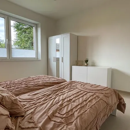 Alpakablick - Inklusive Gratis Alpaka Meet & Greet *