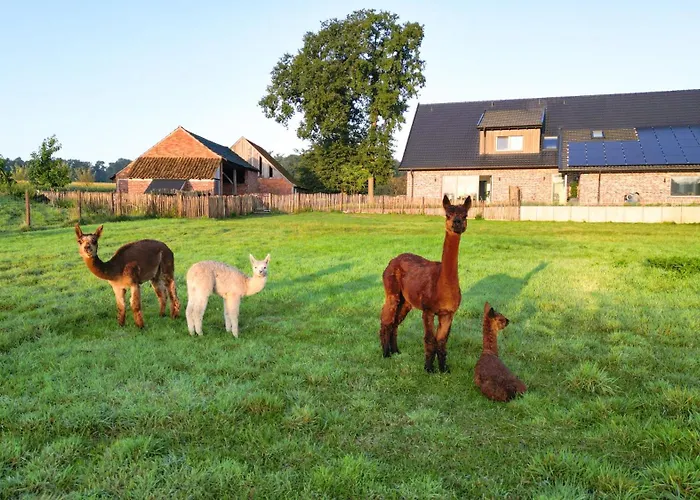 Διαμέρισμα Alpakablick - Inklusive Gratis Alpaka Meet & Greet *