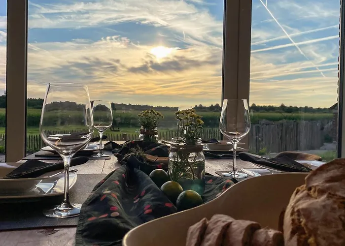 Alpakablick - Inklusive Gratis Alpaka Meet & Greet * Rhede (North Rhine-Westphalia)