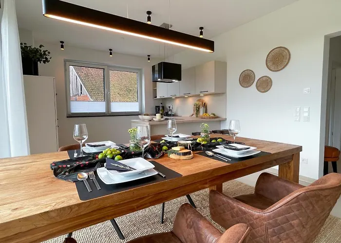 Alpakablick - Inklusive Alpaka Meet & Greet An Bestimmten Terminen Rhede (North Rhine-Westphalia)