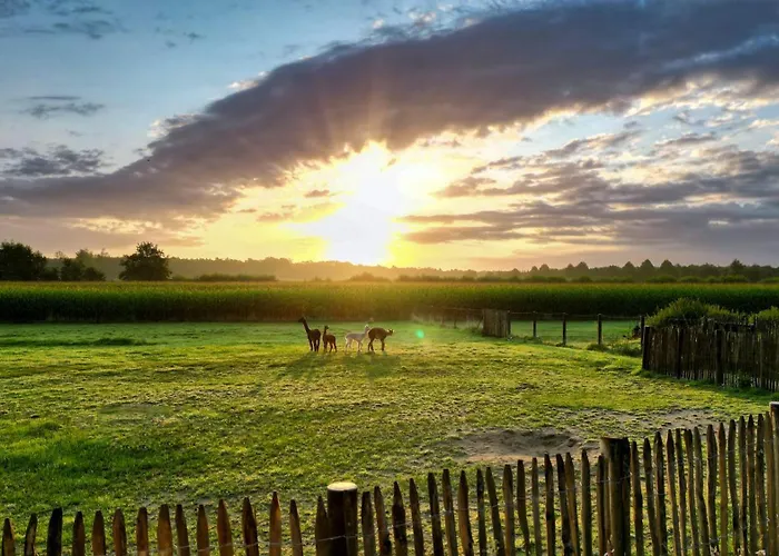Alpakablick - Inklusive Gratis Alpaka Meet & Greet Διαμέρισμα *